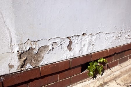 How to Paint Vinyl Siding on Your Home