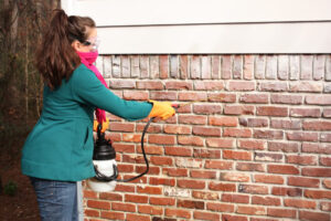 How to Remove Old Paint From Exterior Walls
